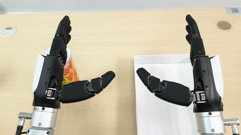 Zero-shot real-world pick-and-place demo 2